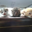 줌 당구장 이미지