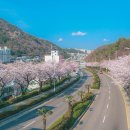 여수중앙여자고등학교 이미지