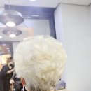 부영헤어샵 이미지