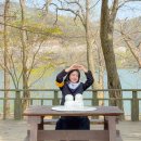 캔닷컴 | 가평 벚꽃 여행 가볼만한곳 남이섬 봄맞이 트립닷컴 패키지