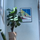 복성공인중개사사무소 이미지