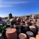 제주도 허벅장 이미지