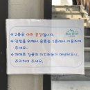 강원도 여행 평창 카페 블루리버커피 (네이버페이, 제로페이 가능)