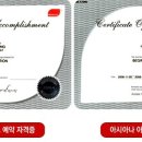 일등여행사 이미지