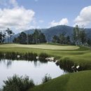 파인밸리골프클럽 이미지