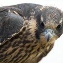 럭셔리의류수선 이미지