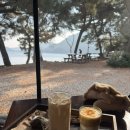 소리나무(주) | 여수 돌산 애견동반 카페 무슬목 해변 오션뷰 카페 무슬소리