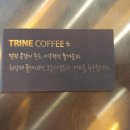 트라인