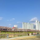 삼락카 네이버블로그