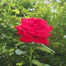 보명목욕탕 이미지