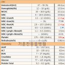 기운찬 동물병원 | 경산 기운찬동물병원 강아지 유선종양 암컷중성화수술