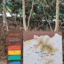 매바위경로당 | 챙계산에 다녀왔습니다