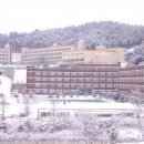 심텔 Daum카페