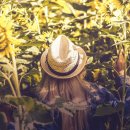 햇빛약국 이미지