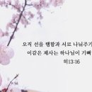 성구 Daum카페