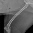 임재성동물의료센터 이미지