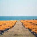 신천목장 이미지