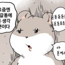 바비걸 이미지
