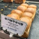 동대문베이커리 북촌 명인단팥빵 동대문점