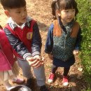 운천초병설유치원 이미지