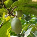 마산맛나눔터 이미지