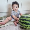 키즈마트 이미지