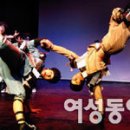 스핀