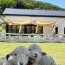 상주시화동면양지보건진료소 | 경북 상주시 관람 체험 가능한 장소