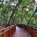 서리풀공원1-2 이미지