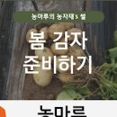 압력솥 감자삶기 햇감자요리 압력밥솥 감자 삶는시간 감자 찌는법 이미지