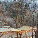 핀란드캠핑성 이미지