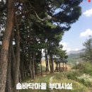 솔다박 이미지