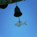 물고기 식당 이미지