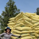 제주숲한의원 이미지