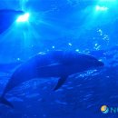 울산광역시 남구 도시관리공단(고래생태체험관)