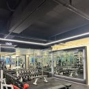 부평 프리웨이트 헬스 PT 이미지