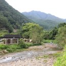 우니메이카 - 태안군 산간이길 158-24 | 우니메이카