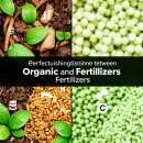 고려종합비료 | 🌿 유기비료 vs 무기비료 완벽 사용구분 가이드