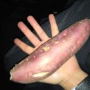 농어민후계자횟집 이미지