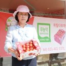 안스퓨어팜