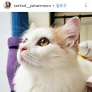 센트럴파란문약국 이미지