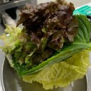 [범계맛집] 은비갈비_ 내돈내산, 솔직후기
