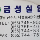 금성실업