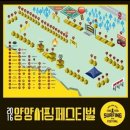 2016년 양양 서핑 페스티벌 후기!! part.1