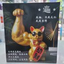 모닝온누리약국 이미지