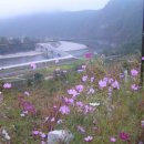 은하수와 여울 이미지