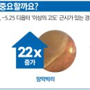 룩스토어안경 시지 네이버블로그
