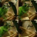 견우와 직녀 이미지