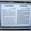 사람들과 자동차 이미지