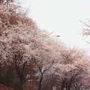세븐일레븐 평택은혜로점